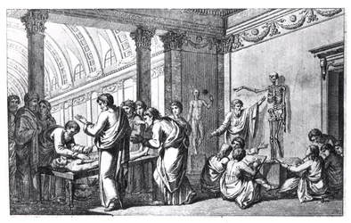 Una scuola di anatomia nell
