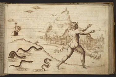 Add. 82955, f.133 Serpenti che inseguono una figura umana, da Historia Animalium, (consistente in 245 disegni a penna e inchiostro di diverse specie di animali e creature mitiche, ciascuno accompagnato da una descrizione.) 1595