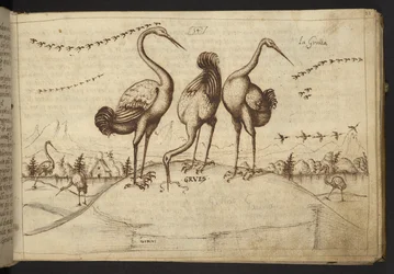 Add. 82955, f.33 Gru (