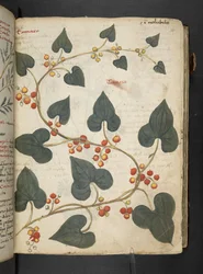 Add MS 41623 
