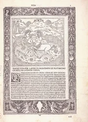 Pagina illustrata da un