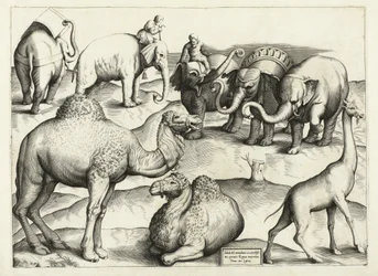Dipinti di animali dall
