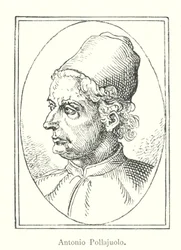 Antonio Pollaiuolo