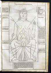 Anatomia femminile da Fasciculus Medicinae di Johannes de Ketham (d.c.1490) c.1507