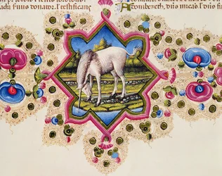 Fol.245V Un unicorno, dalla Bibbia di Borso d