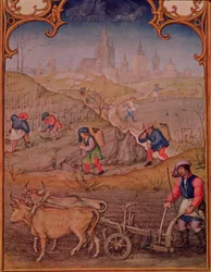 Fol.3v Mese di marzo: Lavoro nei campi, dal Breviario Grimani