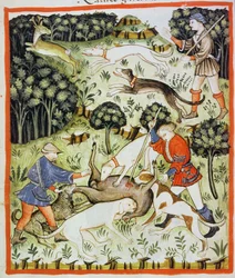 Caccia alla gazzella, illustrazione dal Tacuinum Sanitatis Codex Vindobonensis
