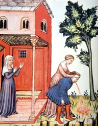 Vomito, illustrazione dal Tacuinum Sanitatis Codex Vindobonensis