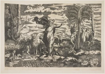 Dio crea gli animali, c.1550