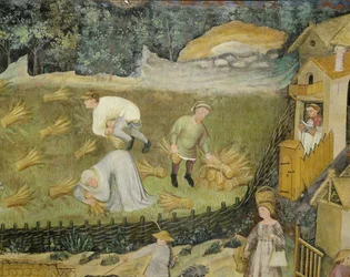 Raccolta di covoni di grano