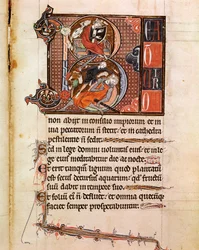 Lettrine B decorata con la rappresentazione del Re Davide che suona il salterio e che decora Golia. Pagina dal manoscritto "Psalterium Cum Calendario" XIII secolo Padova, biblioteca del seminario