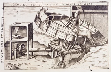 Mulino azionato da animali