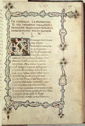 Il trionfo dell