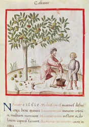 Raccolta e cottura delle castagne, dal 