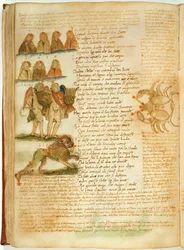 Gemelli, Leone e Cancro, dal 