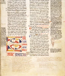 Ms. McClean 135, f.96r: dettaglio di una iniziale istoriata a forma di pianta da Gratians Decretum, fine XII secolo