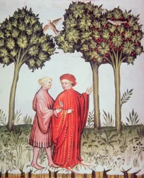 Nova 2644 fol.102v Due amici a passeggio insieme, dal Tacuinum Sanitatis Codex Vindobonensis