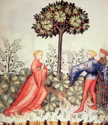 Nova 2644 fol.24r Raccolta di senape, da Tacuinum Sanitatis