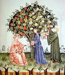 Nova 2644 fol.38r Raccolta delle rose, illustrazione dal Tacuinum Sanitatis Codex Vindobonensis