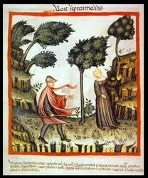 Il vento del nord, dal Tacuinum Sanitatis
