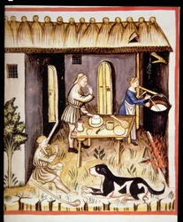 Nova 2644 fol.62r Preparazione del formaggio bianco, da Tacuinum Sanitatis
