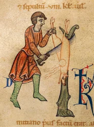 Novembre, macellaio squarta maiale, miniatura dal Martirologio di Adone