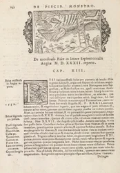 Pagina 742 da Historia De Gentivus Septentrionalibus di Magnus Olaus, Roma 1565