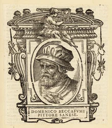 Ritratto di Domenico di Pace Beccafumi, pittore manierista del Rinascimento italiano