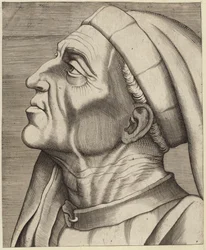 Ritratto di Paulus Castrensis