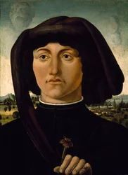 Ritratto di un giovane con un fiore rosa, c.1475-85
