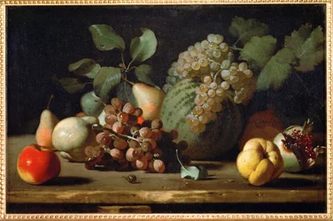 Natura morta con uva e melograno, primi anni ...