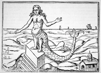 Il Drago della Divinità, copia di un