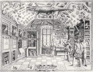 Il Museo di Storia Naturale dell