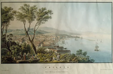 Trieste, stampa, Italia