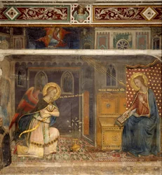 Immagine sconosciuta
