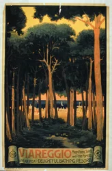 Viareggio", edito da Richter e Co., Pisa, italiano (litografia a colori)
