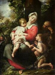 Vergine con Bambino, Scuola di Parma (olio su tela)
