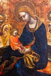 Vergine dell