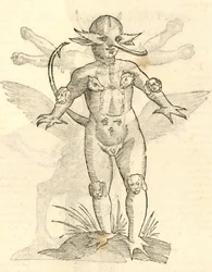 illustrazione di Infans capitibus Animalium dalla Storia dei Mostri di Aldrovandi, 1642