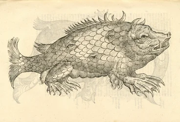 illustrazione di Monstrosus Sur marinus dalla Storia dei Mostri di Aldrovandi, 1642