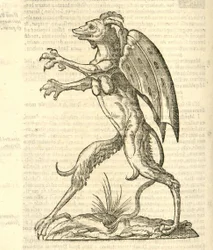 Illustrazione di Monstrum alatum, & cornutum instar Cacodaemonis dalla Storia dei mostri di Aldrovandi, 1642