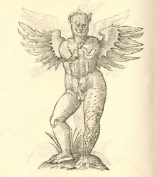 illustrazione di Monstrum cornutum, and alatum aliud dalla Storia dei Mostri di Aldrovandi, 1642