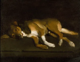 Cane sdraiato su un cornicione, 1630-1720 circa (olio su tela)