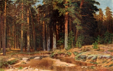 Un boschetto di pini, 1898, 1939