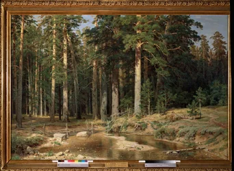 Boschetto di alberi di mastice
