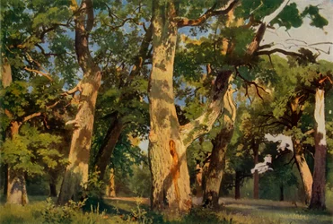 Querce al crepuscolo, 1887, 1965