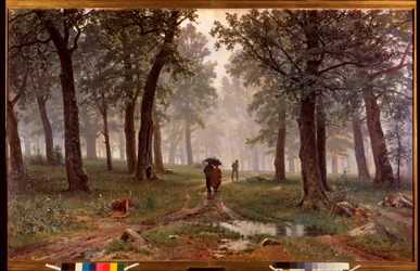 Pioggia in una foresta di querce