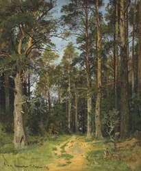 Siverskaya, 1896