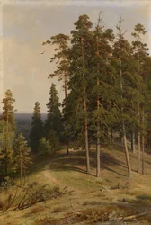La Foresta di Pini, 1895