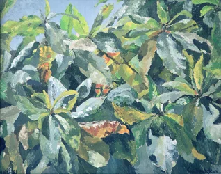 Piante, 1961